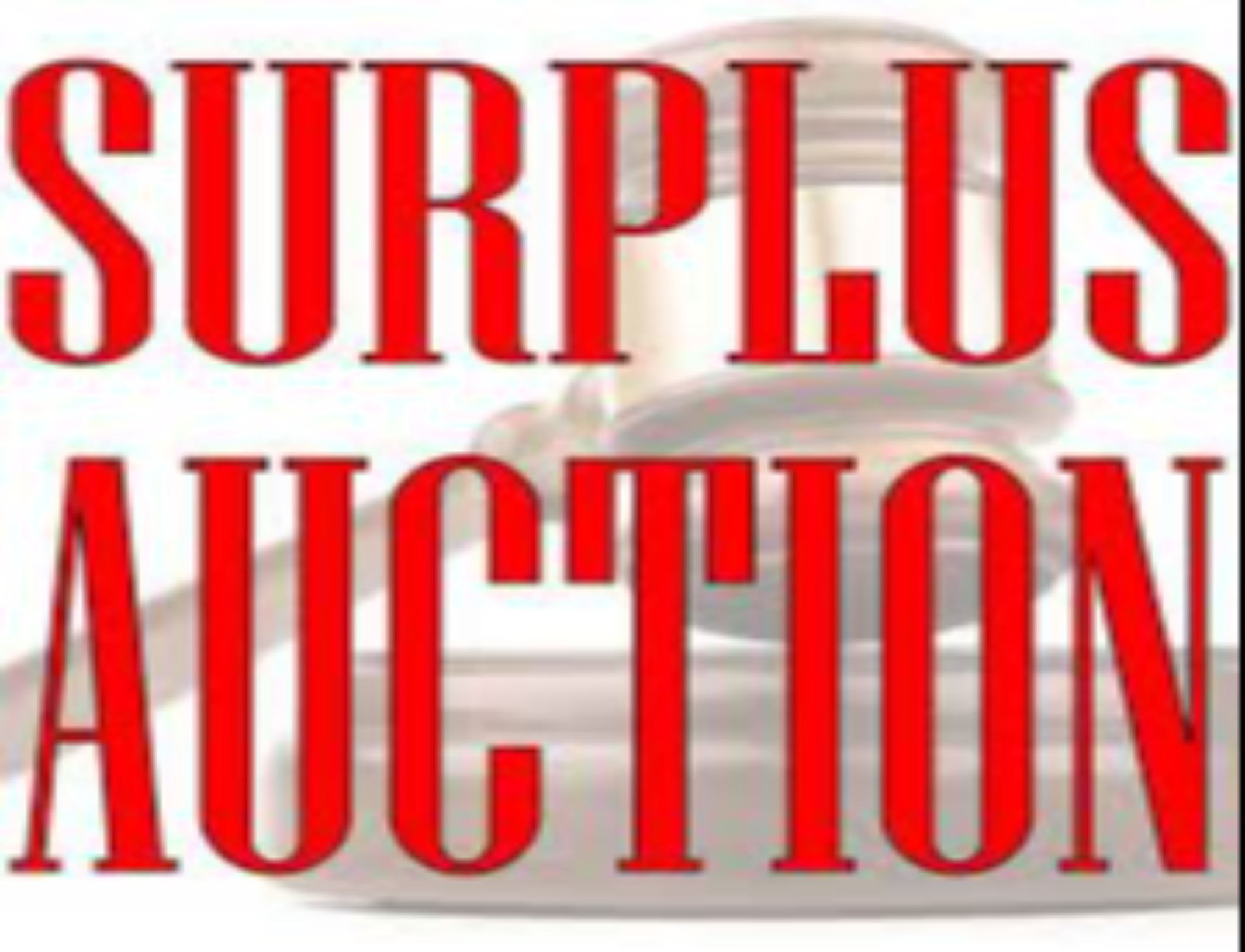 Surplus Auction